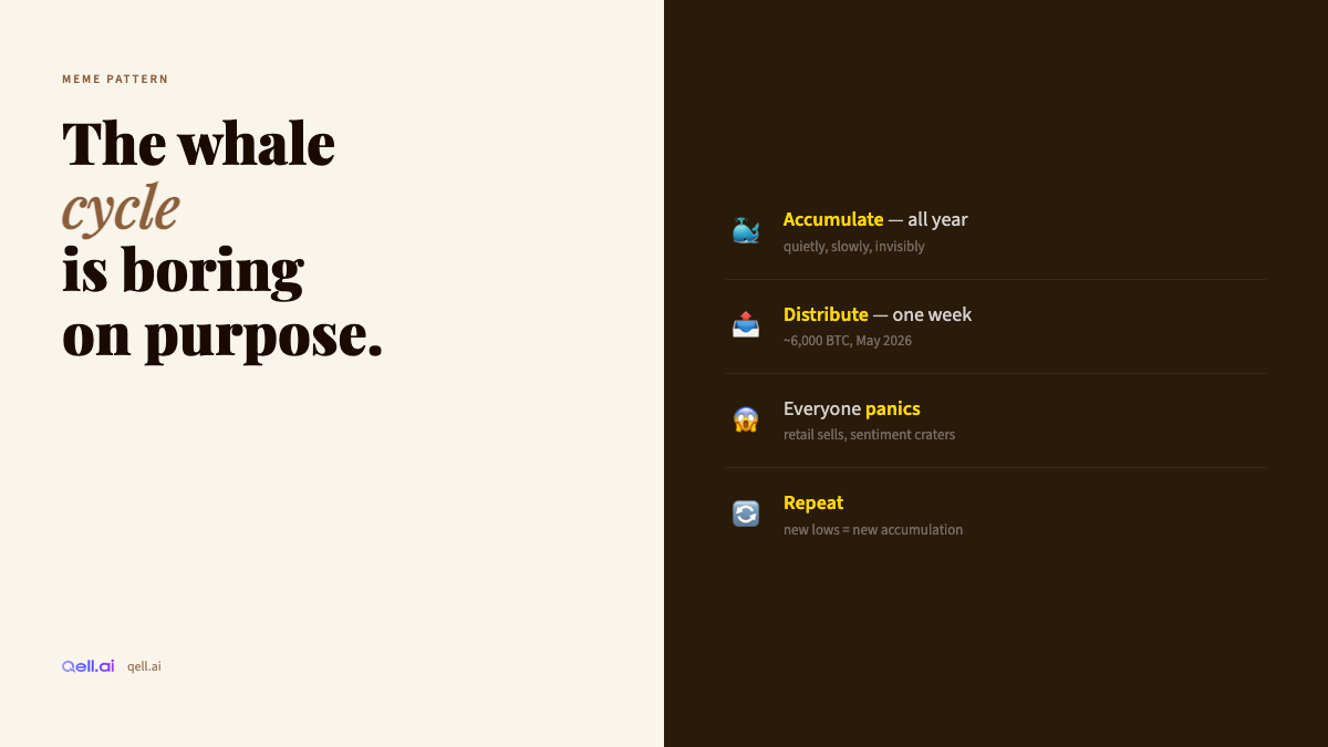 Tweet 4 Image B